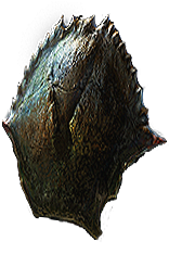 The Deep One's Hide, Studded Round Shield